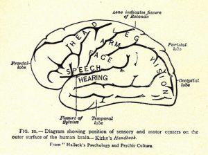 Image of the various centers of the brain and their relation to different types of expression from Charles Wesley Emerson’s Philosophy of Gesture.