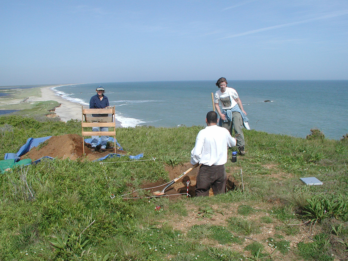 three people digging along coast