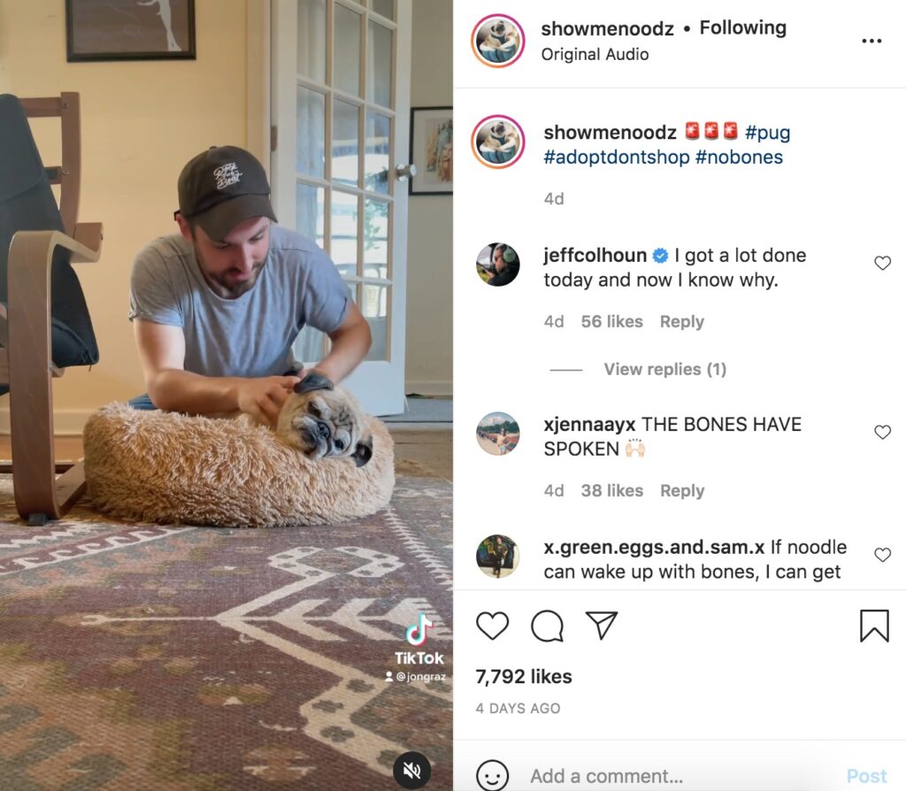 screen shot of Instagram post and video still of graziano petting a pug in a dog bed