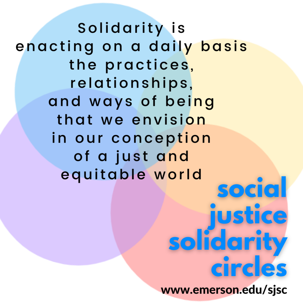Text box about solidarity with four circles of different colors.