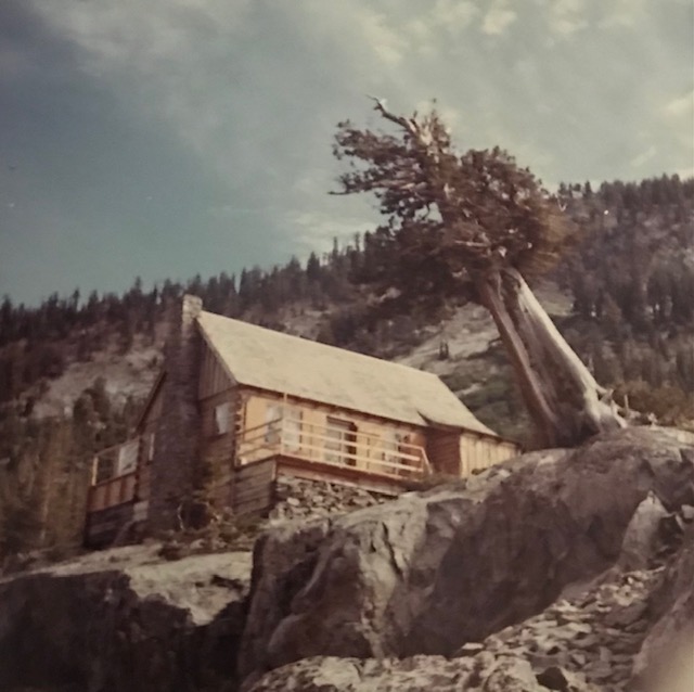 rustic cabin perched on outcropping with large juniper tree to the right