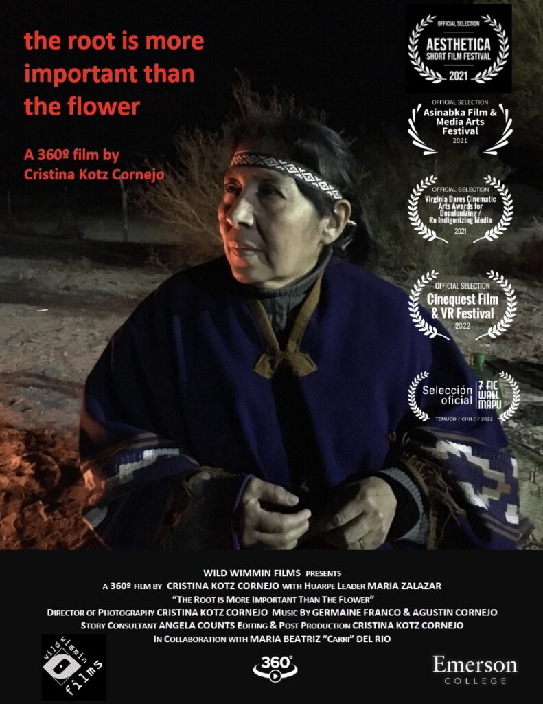 film poster showing Huarpe woman in shadows