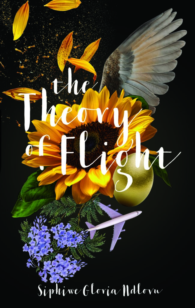 Book cover for The Theory of Flight