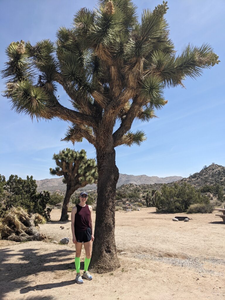 Woman stands in front of a large pine tree in Joshua Tree