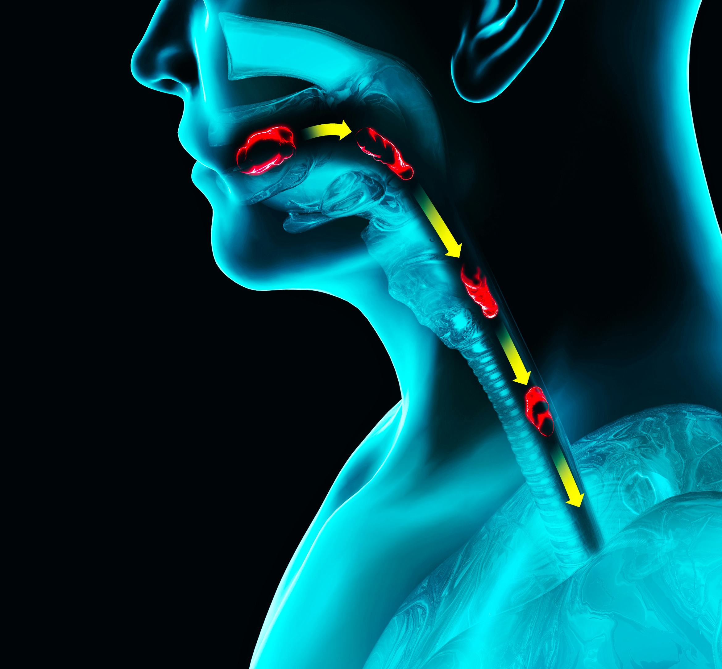 Five Things to Know About Swallowing - Emerson Today