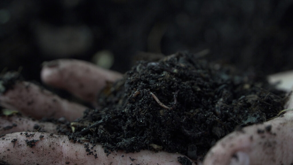 Picture of soil with a worm in someone's hand