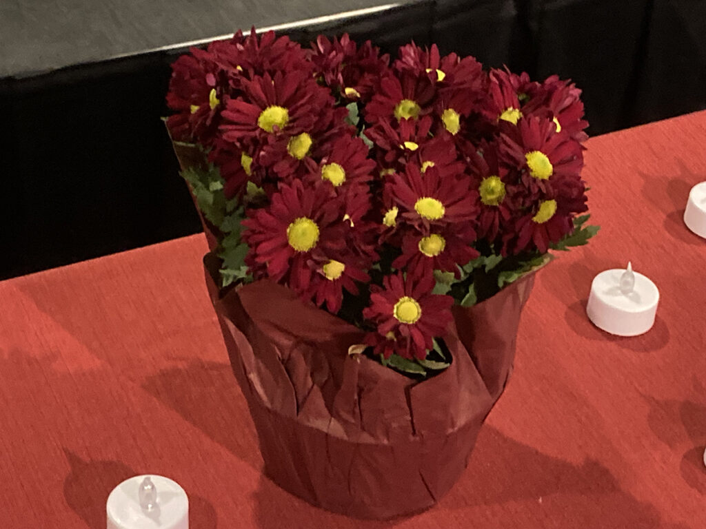 pot of red flowers with yellow centers on table covered with red cloth and votive candles