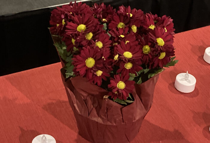 pot of red flowers with yellow centers on table covered with red cloth and votive candles