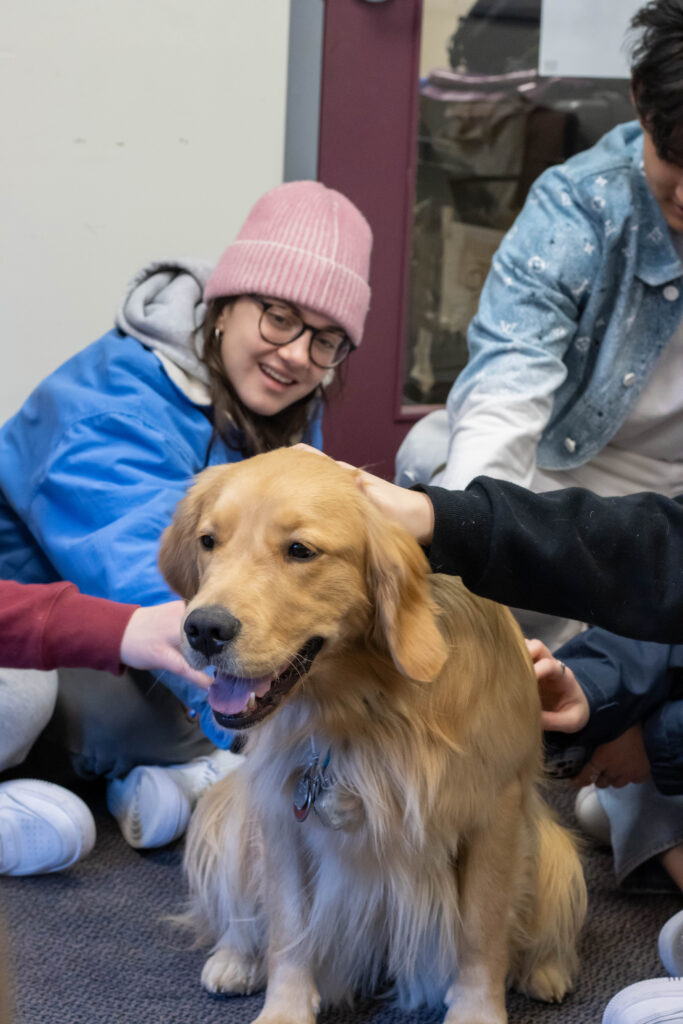 Students pet Journey the dog