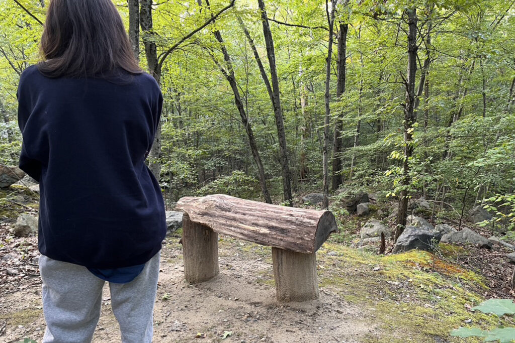 woman stands with back to camera looking at a rustic bench in woods