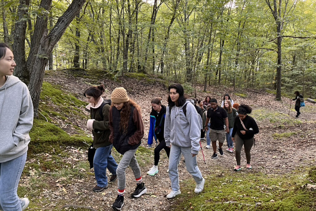 students walk up hill in woods