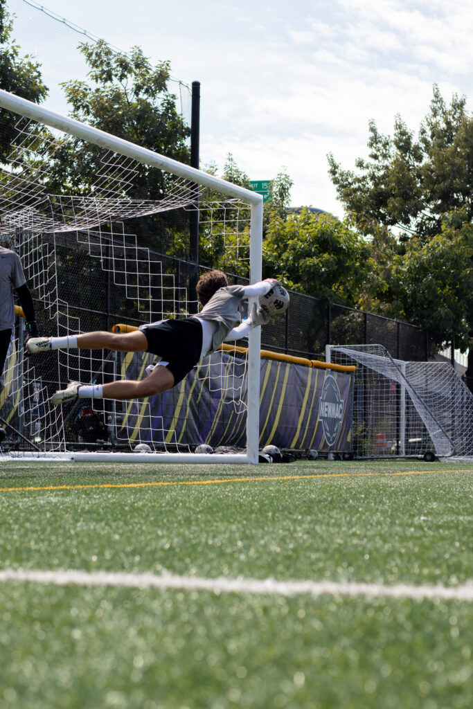 A goalie leaps for the ball