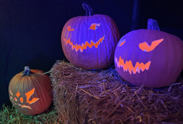 Several jack o' lanterns are lit up