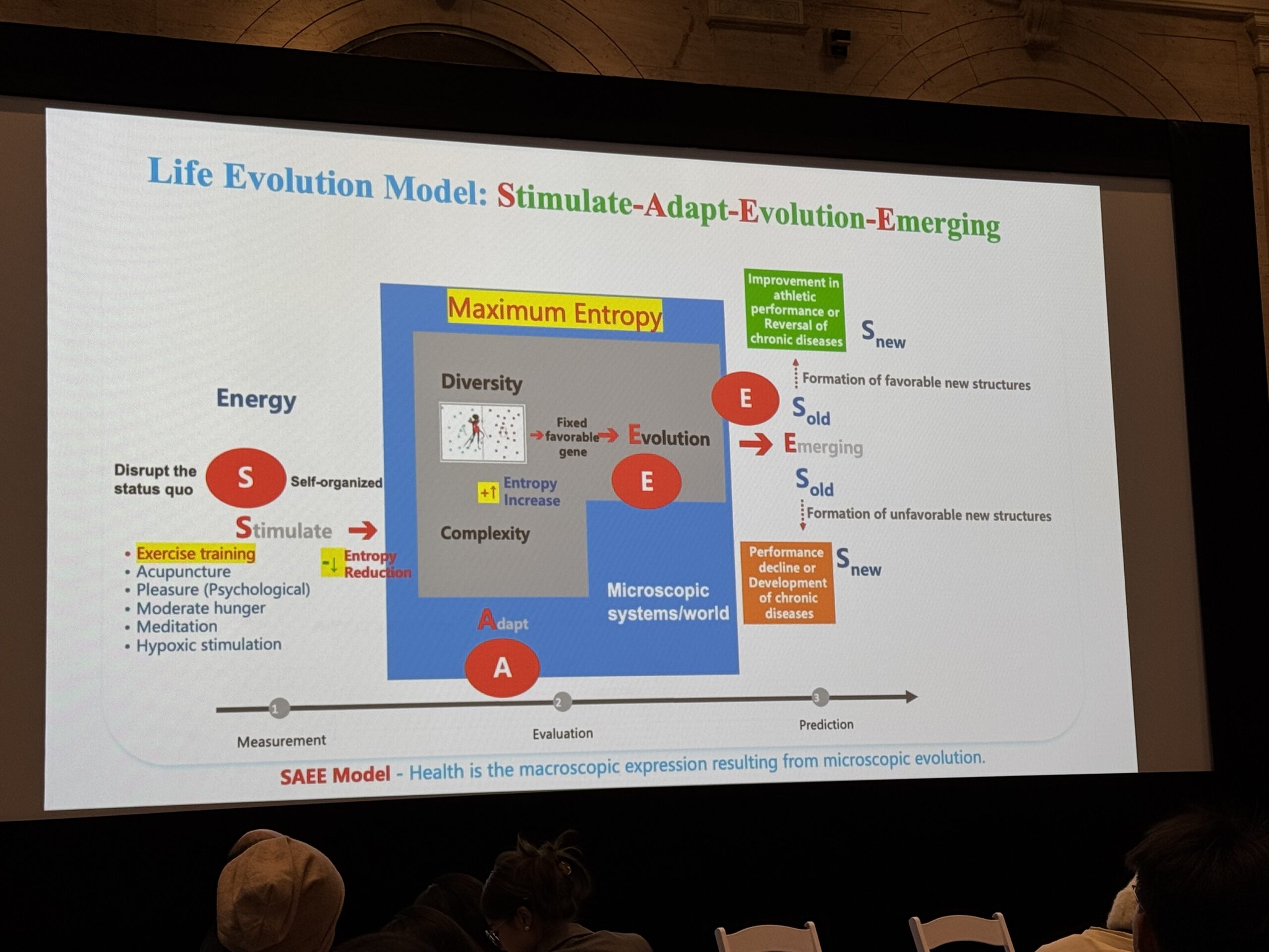 A project slide depicting a graphed chart, Professor Lei Shi (UIC) discusses the Life Evolution Model and its implications for athlete well-being at the joint symposium. [Photo/Molly Loughman]